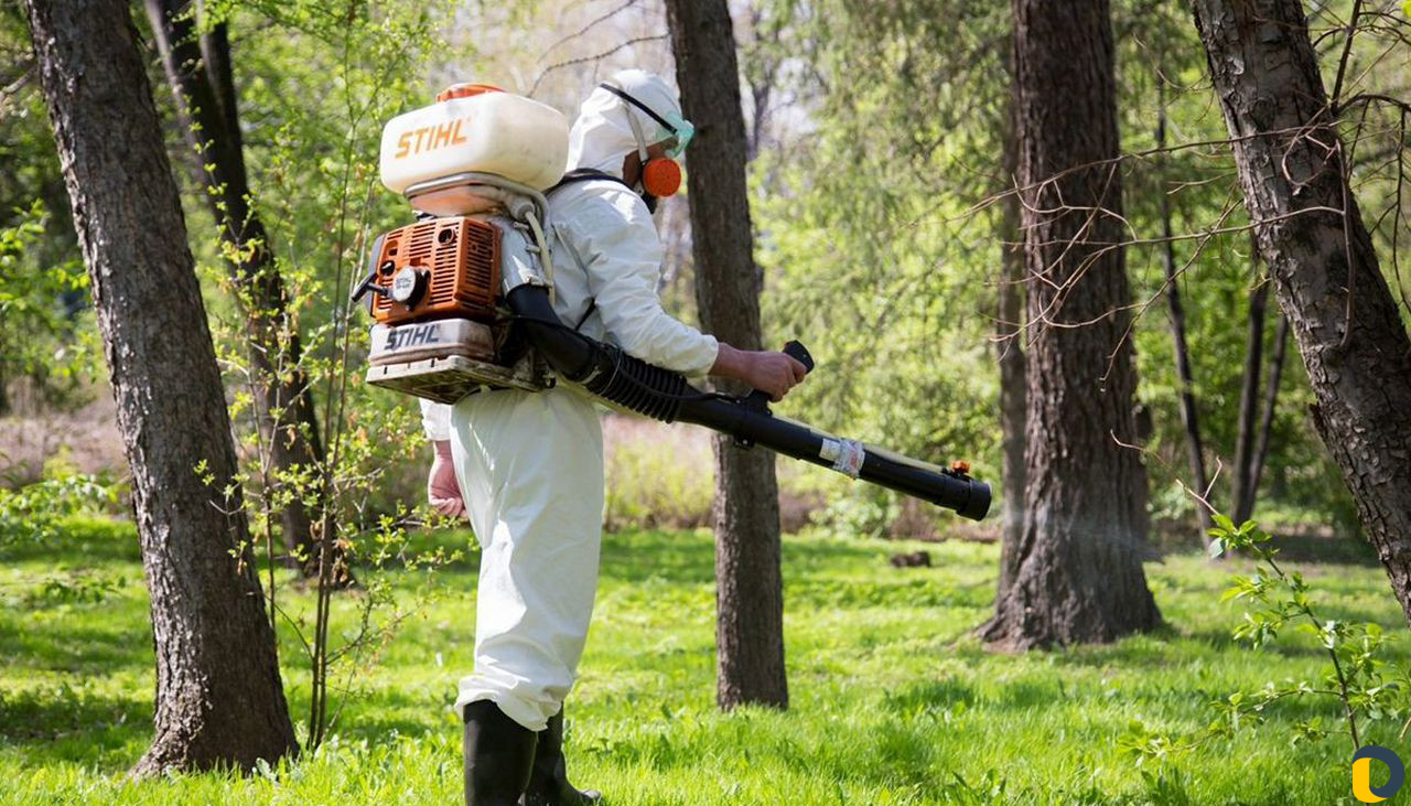 Уничтожение клопов тараканов клещей Кропоткин