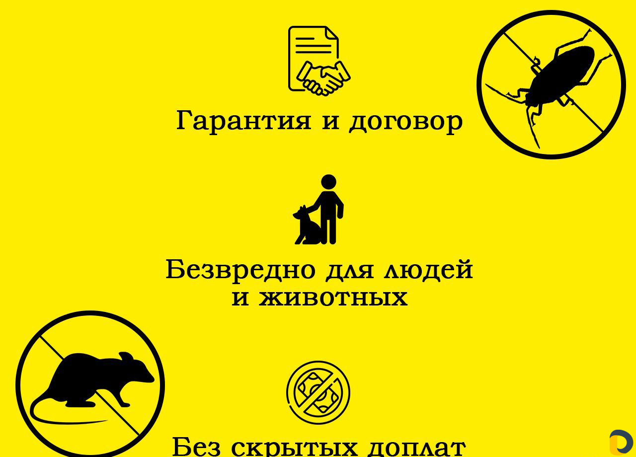 Уничтожение клопов тараканов клещей Кропоткин