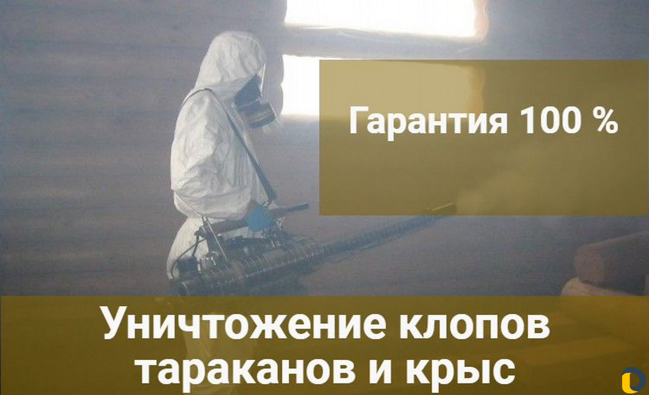 Уничтожение клопов тараканов муравьёв крыс