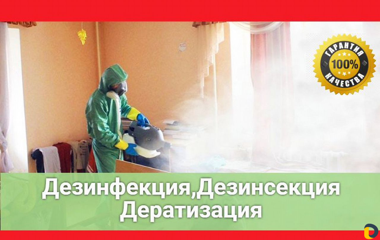Уничтожение клопов тараканов муравьёв крыс