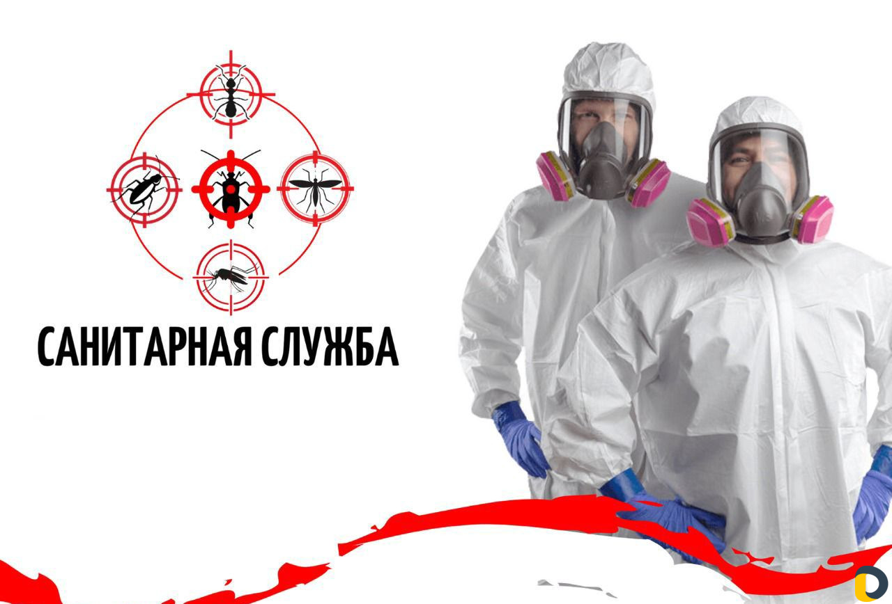Уничтожение клопов, тараканов, обработка от клещей