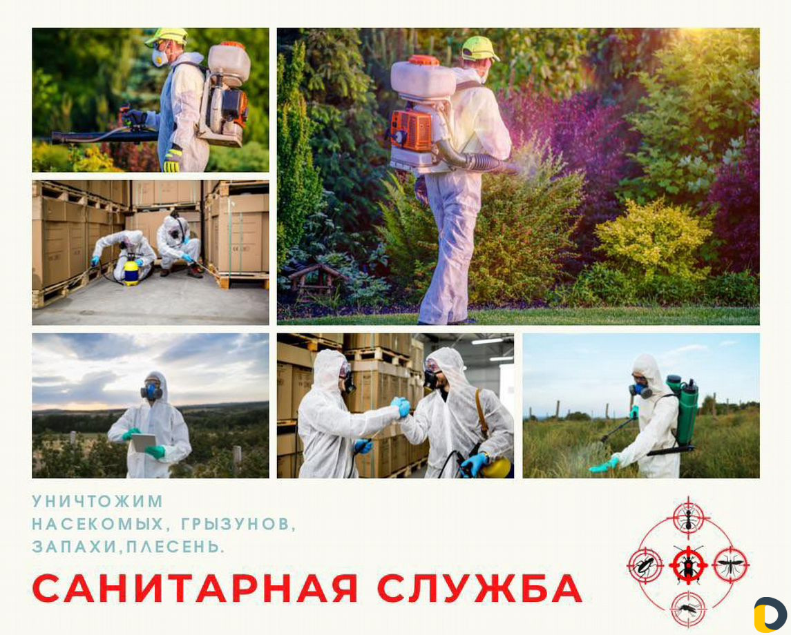 Уничтожение клопов, тараканов, обработка от клещей