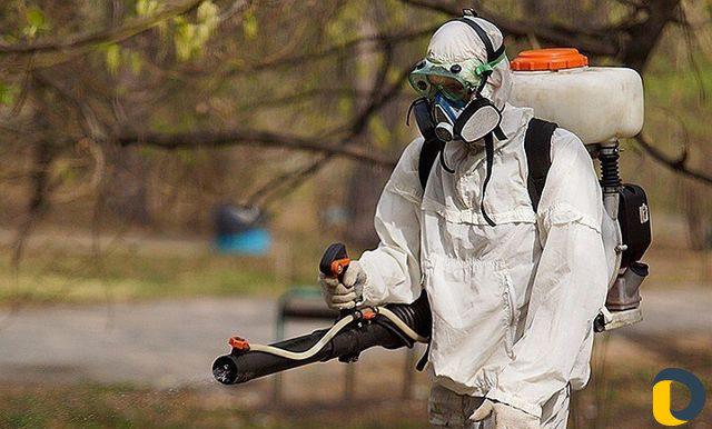 Уничтожение насекомых. Дезинфекция