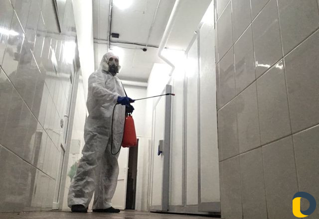 Уничтожение насекомых. Дезинфекция