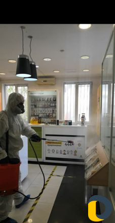 Уничтожение насекомых. Дезинфекция