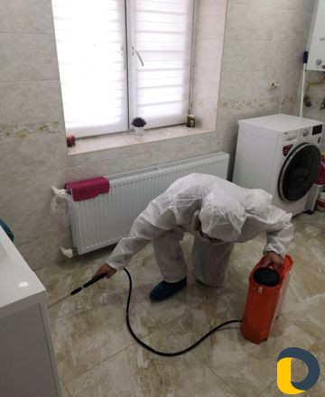 Уничтожение насекомых. Дезинфекция