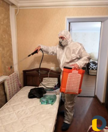 Уничтожение насекомых. Дезинфекция