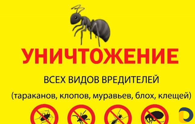 Уничтожение насекомых и грызунов без посредников