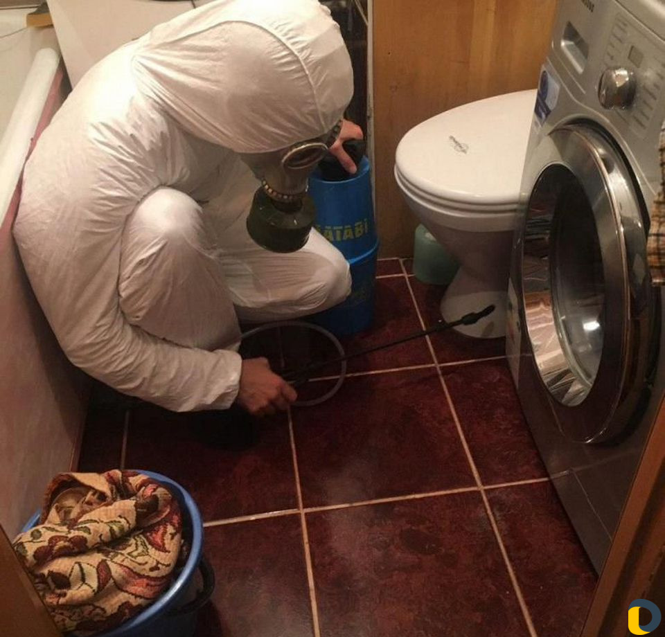 Уничтожение насекомых и грызунов без запаха