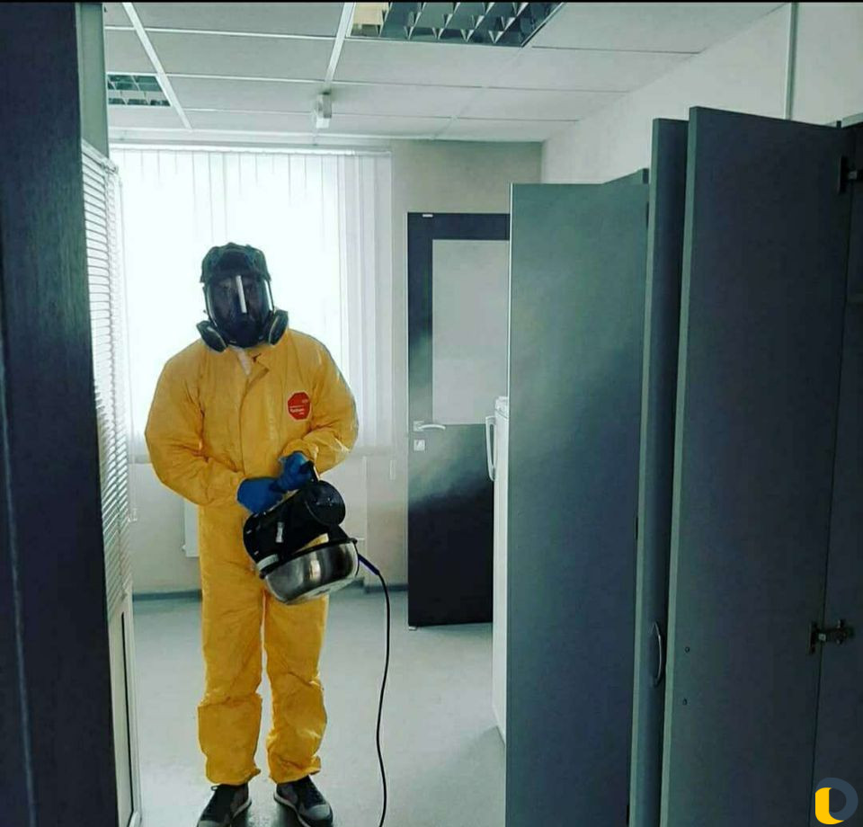 Уничтожение насекомых и грызунов без запаха