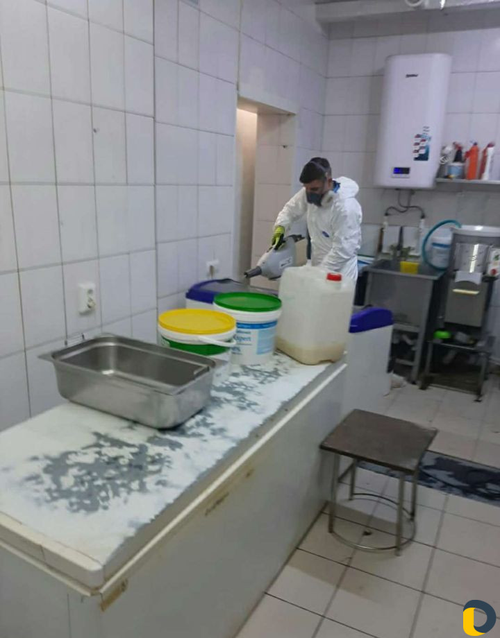 Уничтожение насекомых и грызунов без запаха