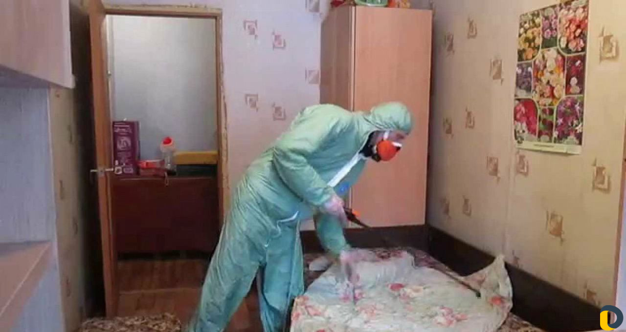 Уничтожение насекомых тараканов, клопов, грызунов