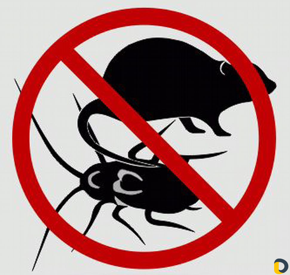 Уничтожение насекомых