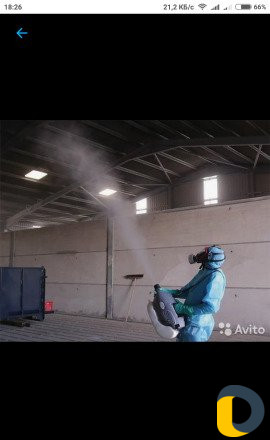Уничтожение насекомых в Махачкале