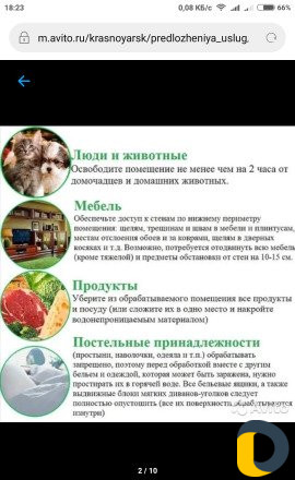 Уничтожение насекомых в Махачкале