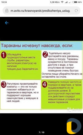 Уничтожение насекомых в Махачкале