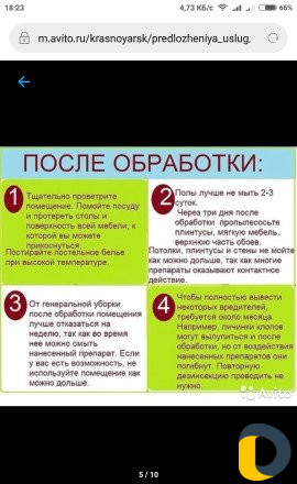Уничтожение насекомых в Махачкале