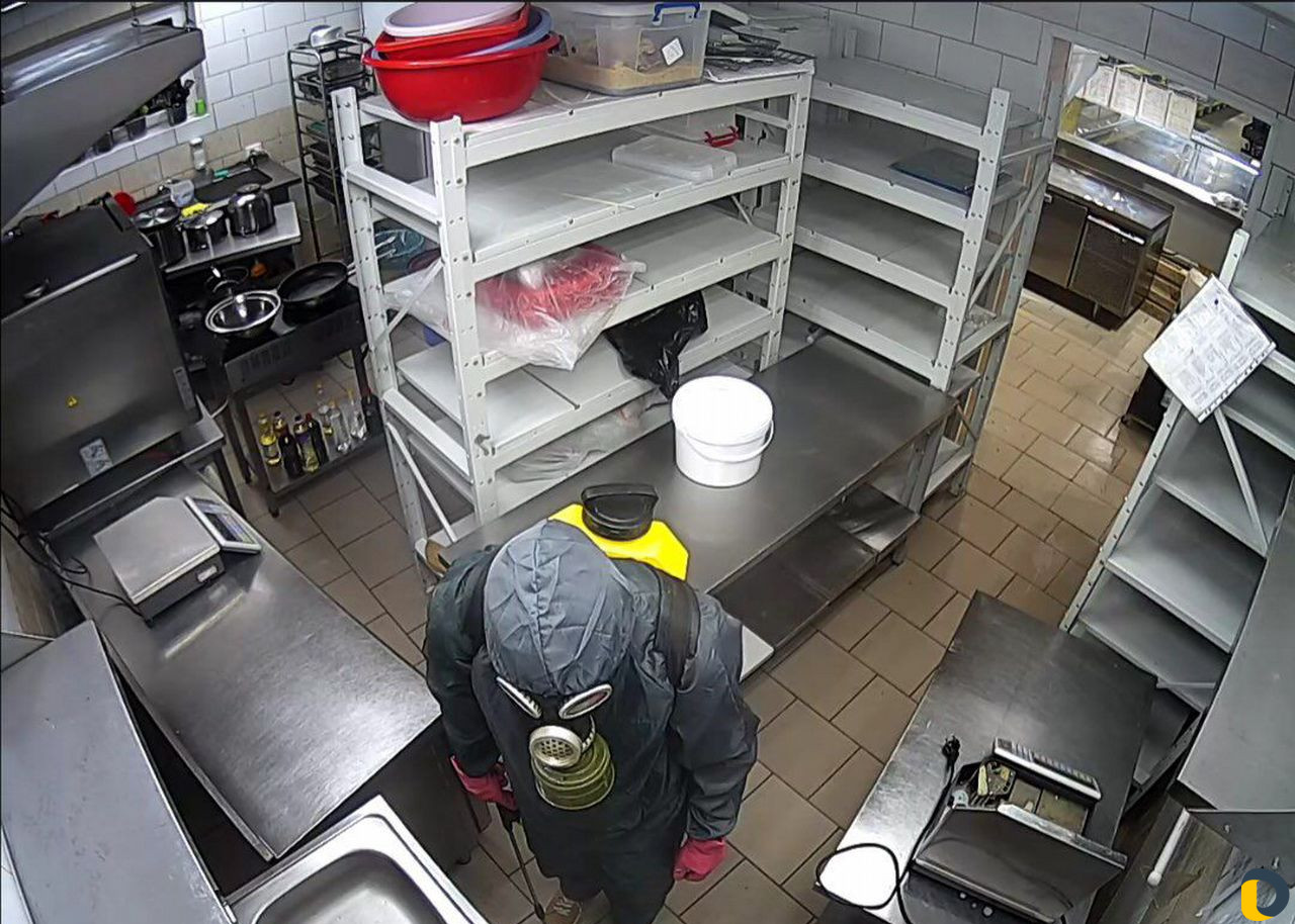 Уничтожение тараканов, блох, клопов, клещей, грызу