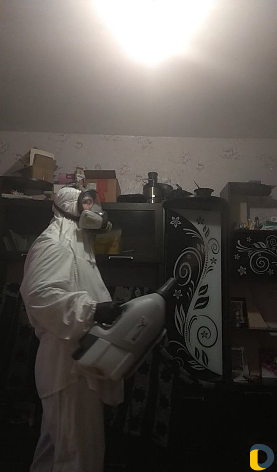 Уничтожение тараканов, клещей, мух