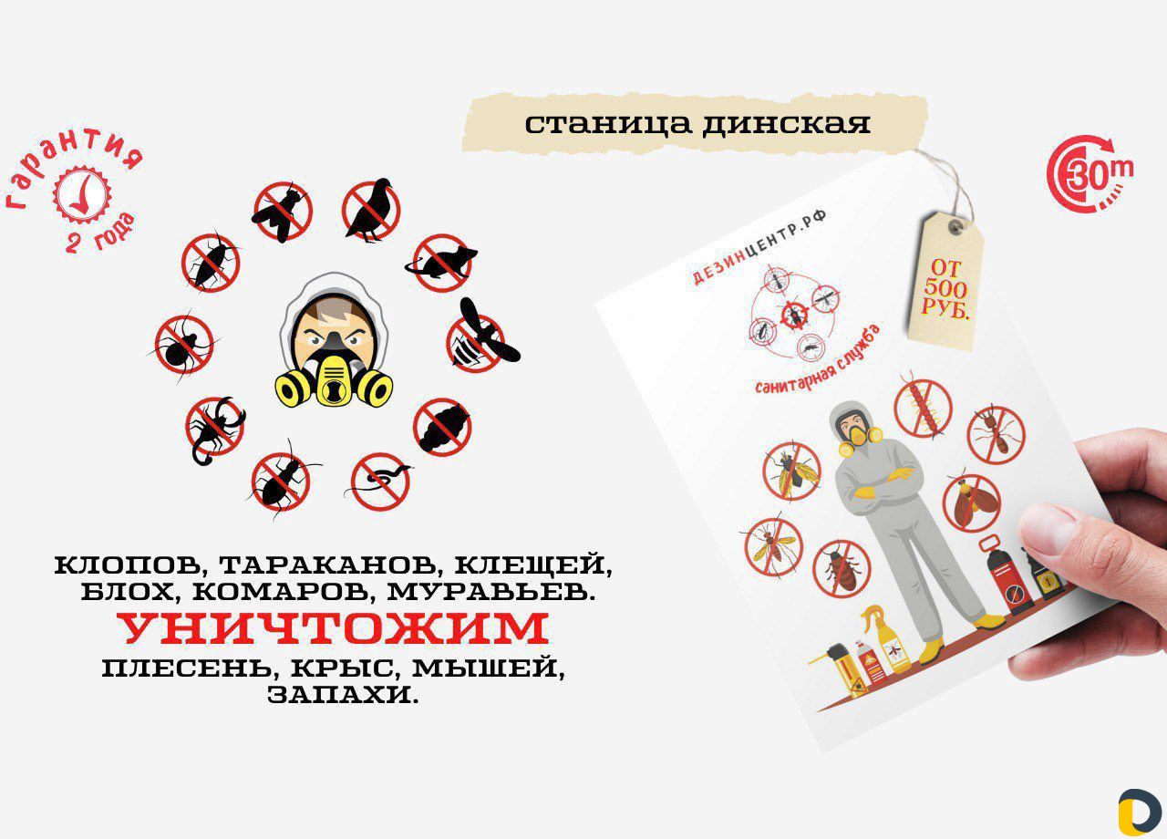 Уничтожение тараканов, клопов, блох, грызунов