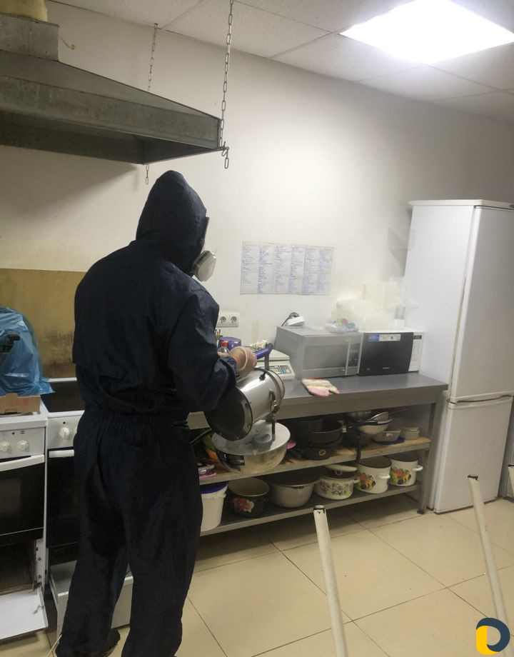 Уничтожение тараканов, клопов, блох, грызунов