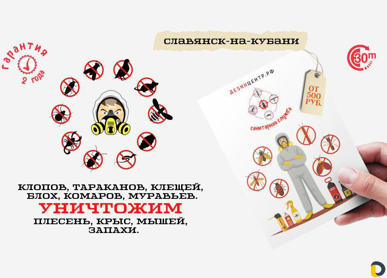 Уничтожение тараканов, клопов, блох, грызунов