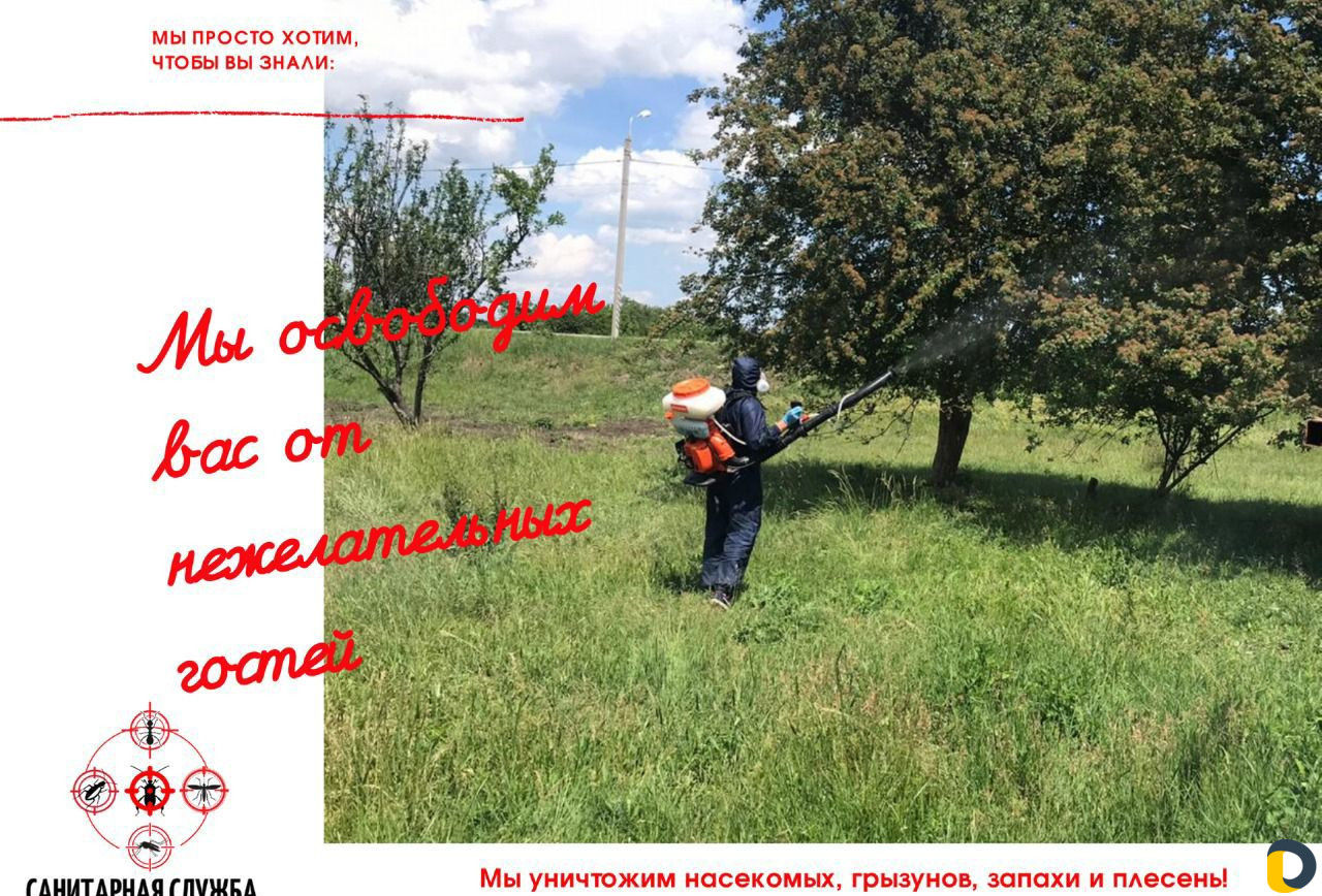 Уничтожение тараканов, клопов, блох, грызунов