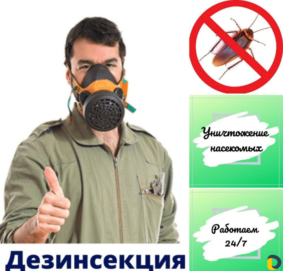 Уничтожение тараканов, клопов, блох, мышей, крыс