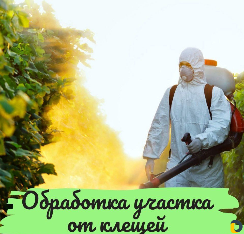 Уничтожение тараканов, клопов, блох, мышей, крыс
