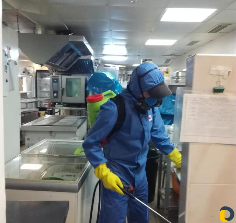 Уничтожение тараканов, клопов, грызунов, ос