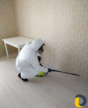 Уничтожение тараканов,клопов,обрaботкa от вирусoв