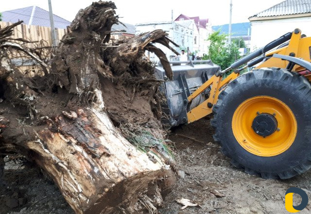 Услуги экскаватора-погрузчика