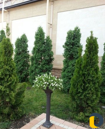 Услуги ландшафтного дизайнера, садовника