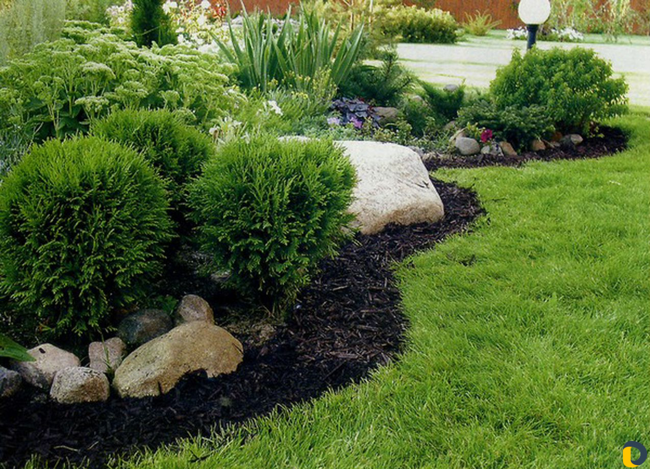 Услуги по обслуживанию участков