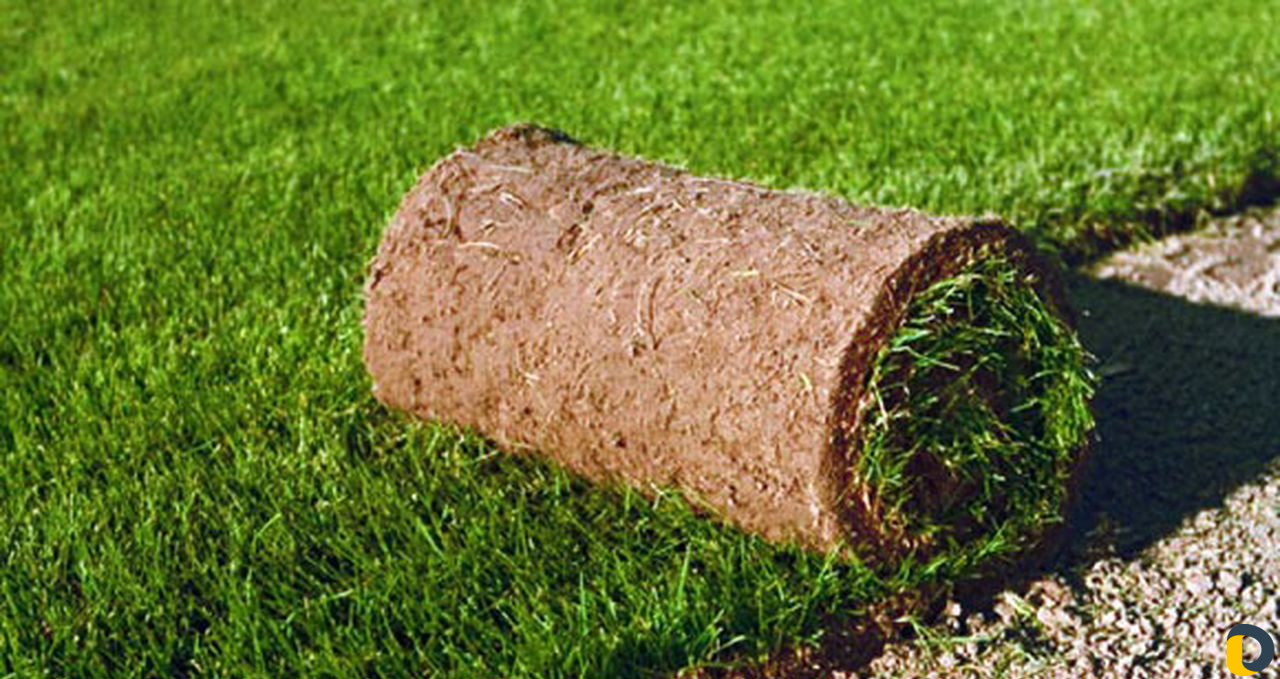 Услуги по обслуживанию участков