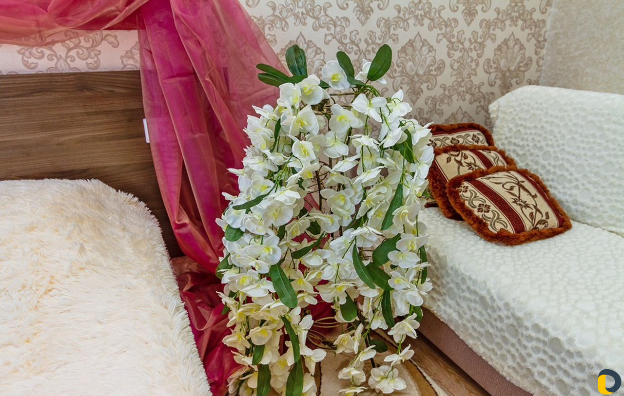 Услуги по организации отдыха и свадьбы