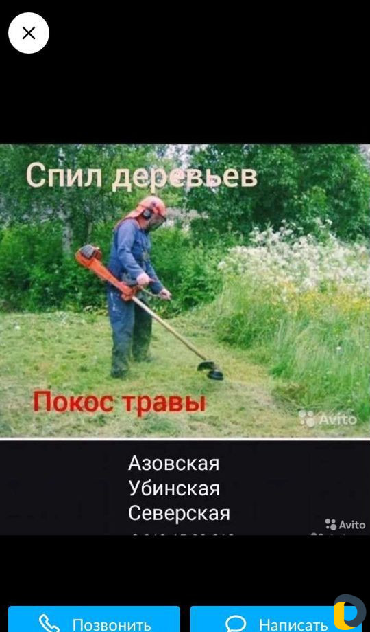 Услуги