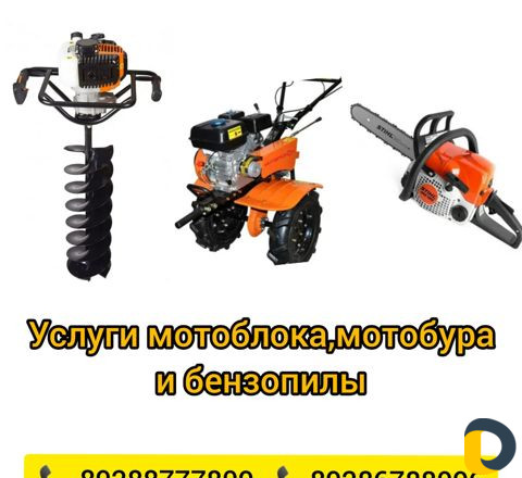 Услуги