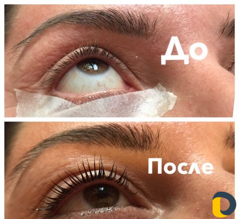 Услуги