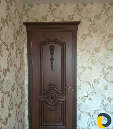 Установка межкомнатных дверей