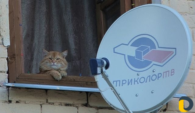 Установка Спутниковых,цифровых антенны