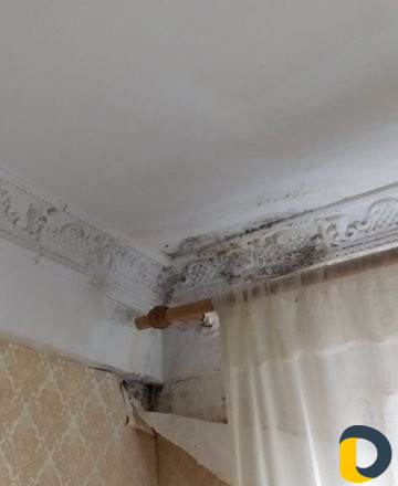 Устранение сырости