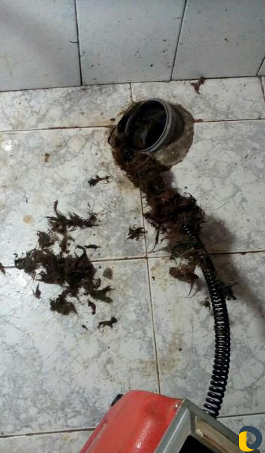 Устранение засоров Канализации