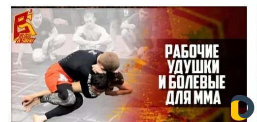 В.борьба + греплинг