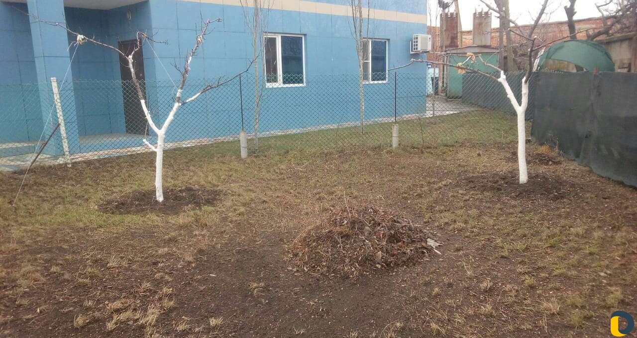 Ваш сад