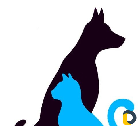 Ветеринар на дом, стрижка кошек и собак