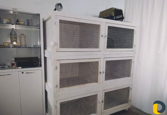 Ветеринар на дом, стрижка кошек и собак