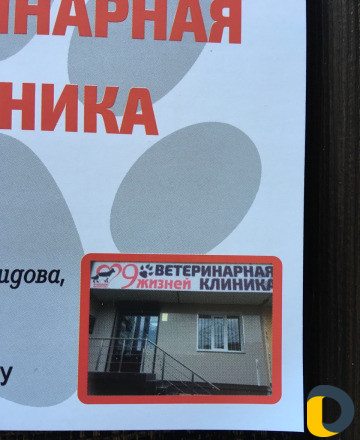 Ветеринарная клиника- 9жизней