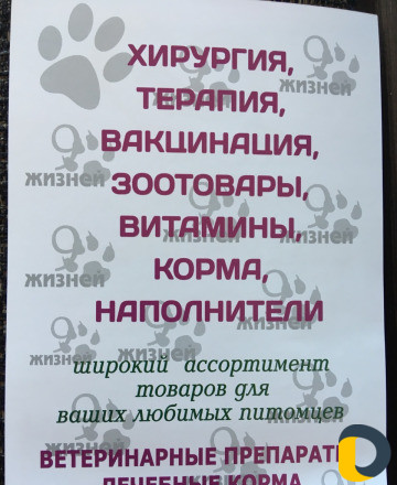 Ветеринарная клиника- 9жизней