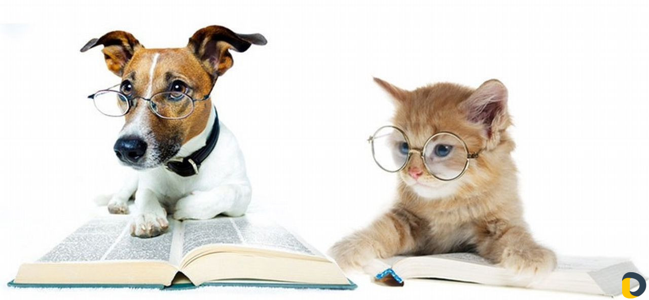 Ветеринарные услуги